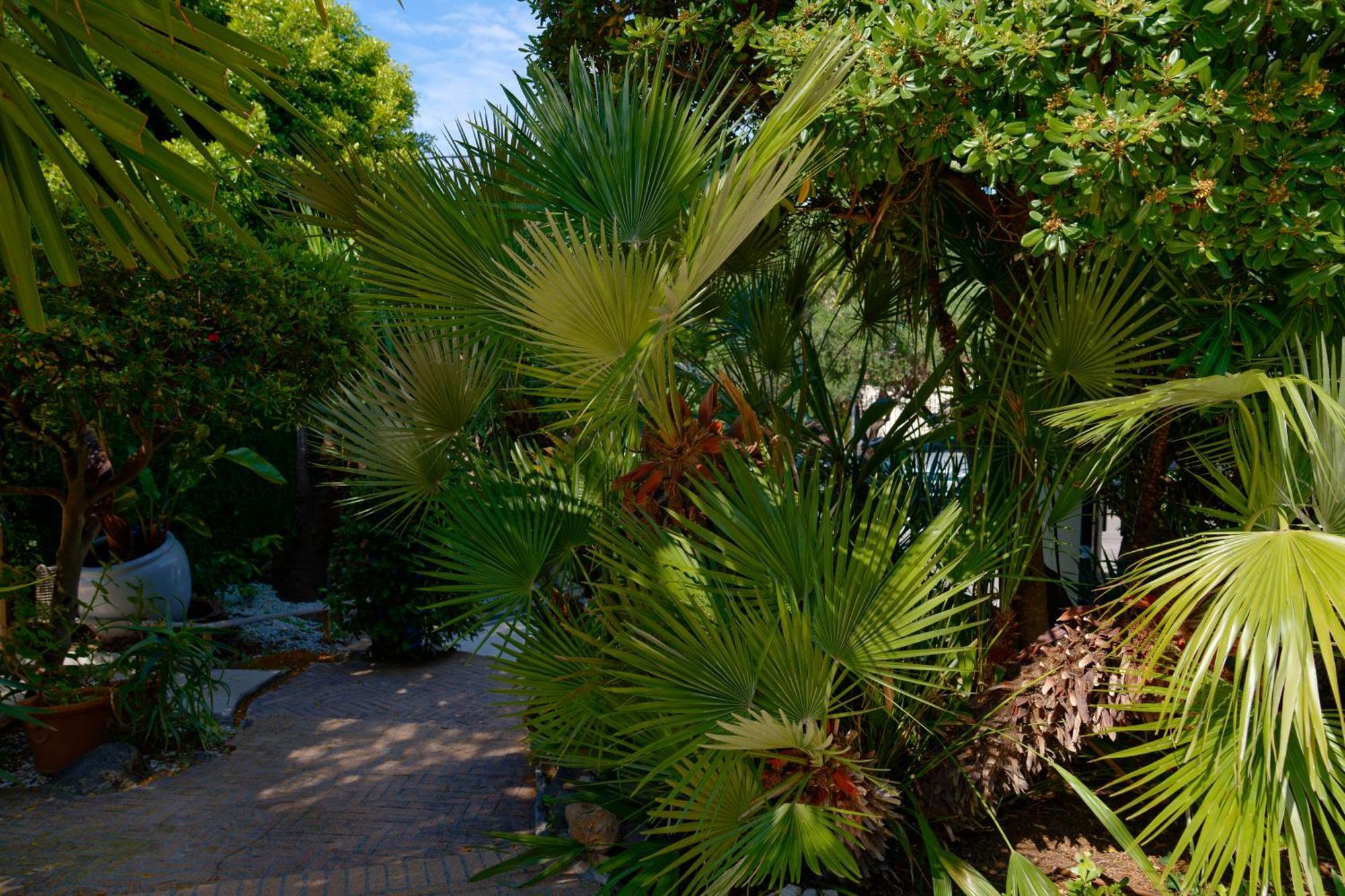 La Garoupe-Gardiole Hotell Antibes Exteriör bild